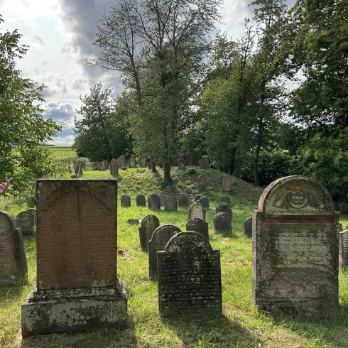 Jüdischer Friedhof Ingenheim (© Verein SÜW Annweiler e.V.)