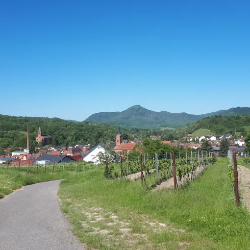 Ortsansicht (© Verein SÜW Annweiler e.V)