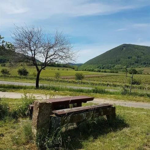 Picknickplatz Schloßgarten