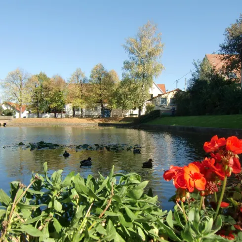 Woog (© VG Monsheim) Woog (© VG Monsheim)