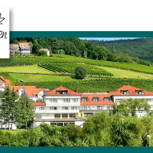 Banner (© Hotel Südpfalz Terrassen)