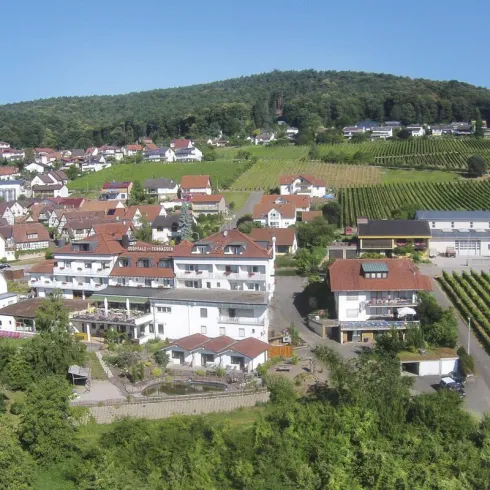 Südpfalz Terrassen 1 (© Südpfalz-Terrassen)