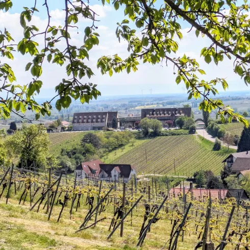 Leinsweiler Hof (© landauland Christner) Leinsweiler Hof (© landauland Christner)
