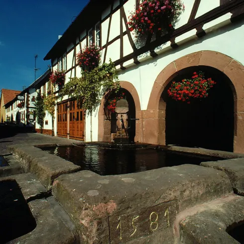 Leinsweiler (© K) Leinsweiler (© K)