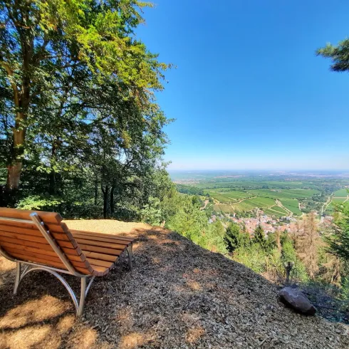 Liegebank mit Blick über Leinsweiler