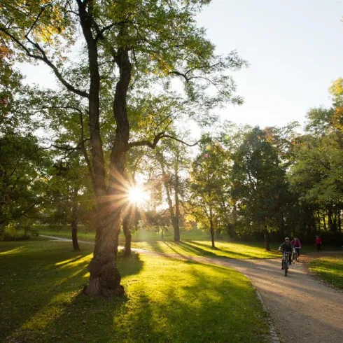 Pfrimmpark in Worms im Herbst (© Benrward Bertram)