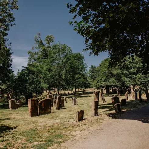 Jüdischer Friedhof Heiliger Sand (© Kati Nowicki)