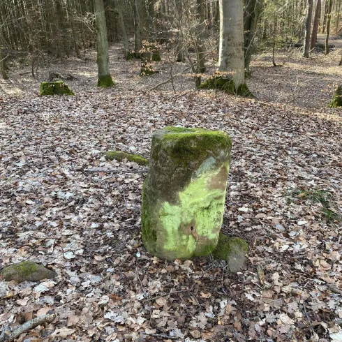 Fliegenstein (Menhir)