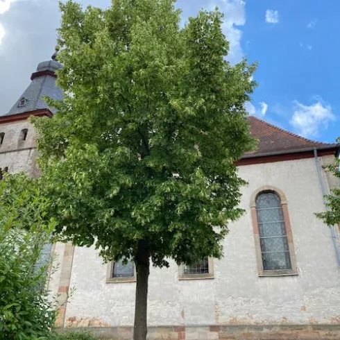Protestantische Kirche Wattenheim