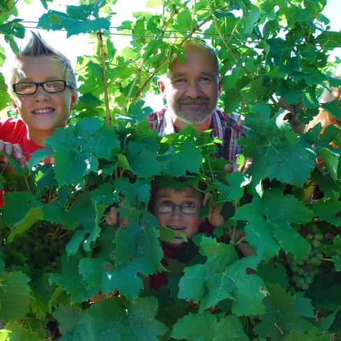 Weingut Pfeiffer