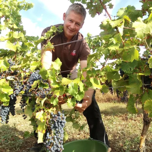 Weingut Galler