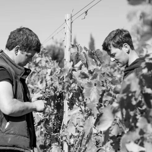 Weingut in der Urlaubsregion Freinsheim (© Weingut Reibold) Weingut in der Urlaubsregion Freinsheim (© Weingut Reibold)