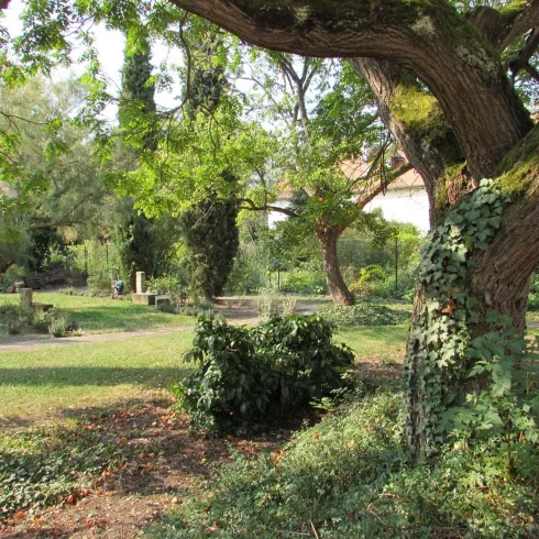 Dr.-Kausch-Garten, großer Baum und zypressen (© Urlaubsregion Freinsheim)