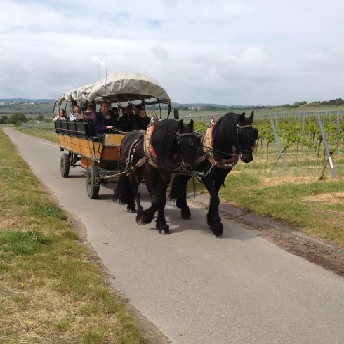 Wandertour mit Planwagenfahrt (© Kreuzhof - Heike Strasser)