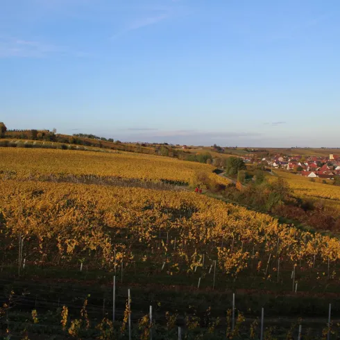 Herrenberg