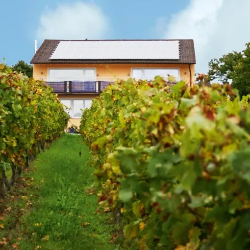 Hausansicht aus Wingert Hausansicht aus Wingert