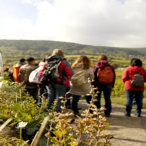 Weinwanderung Gruppe (© melhubach photographie)