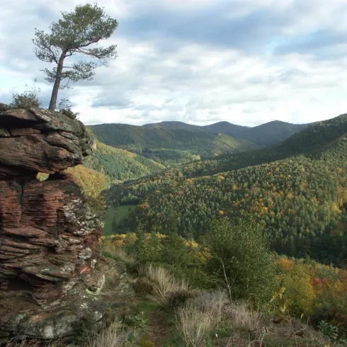 148 Felsen auf der anderen Seite vom Hornstein