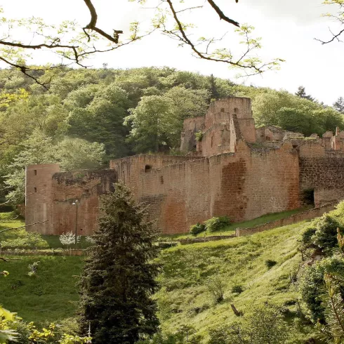 Schloss- und Festungsruine Hardenburg (© melhubach photographie)