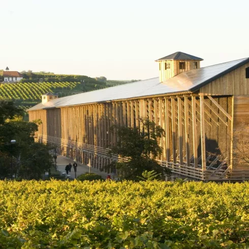 Gradierbau mit Weinlage Abtsfronhof