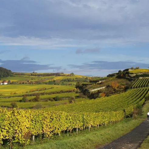 Weinwanderweg (© Stadt Bad Dürkheim)