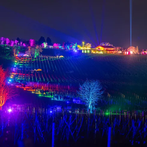 Lichtinstallationen auf der Weinbergnacht Lichtinstallationen auf der Weinbergnacht