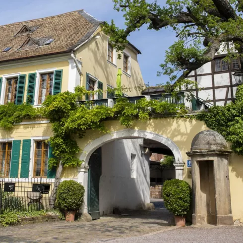 Aussenansicht Weingut Fitz-Ritter (© Stadt Bad Dürkheim)