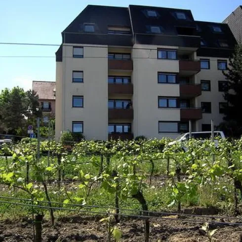 Hausansicht Hausansicht