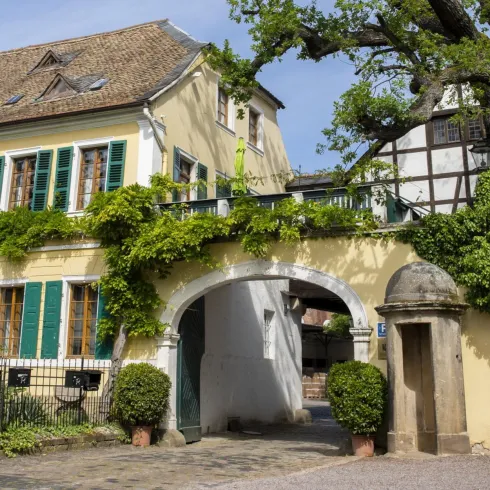 Weingut Fitz-Ritter Aussenansicht (© Stadt Bad Dürkheim)