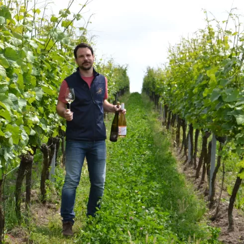 Maxim im Weinberg