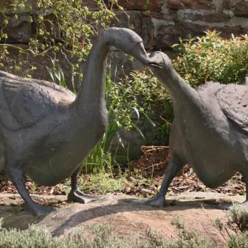 Gänse