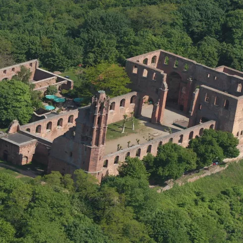 Blick aus der Vogelperspektive (© Stadt Bad Dürkheim)