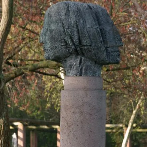 Janus-Kopf