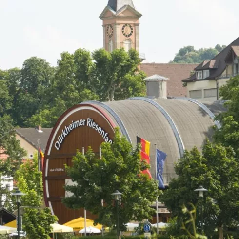 Fassführung