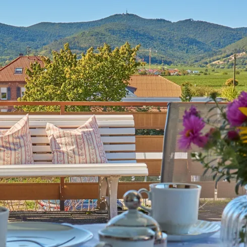 Terrassenblick