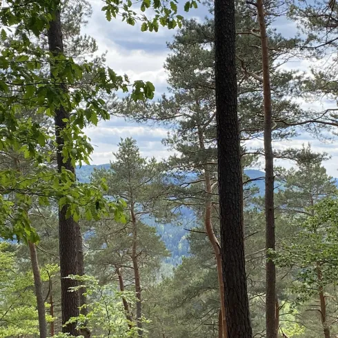 Kieskautberg