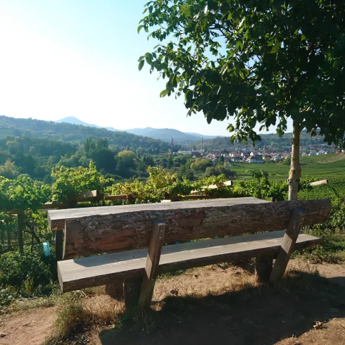 Rastplatz mit Aussicht