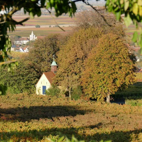 Heiligenkirche Kleinbockenheim