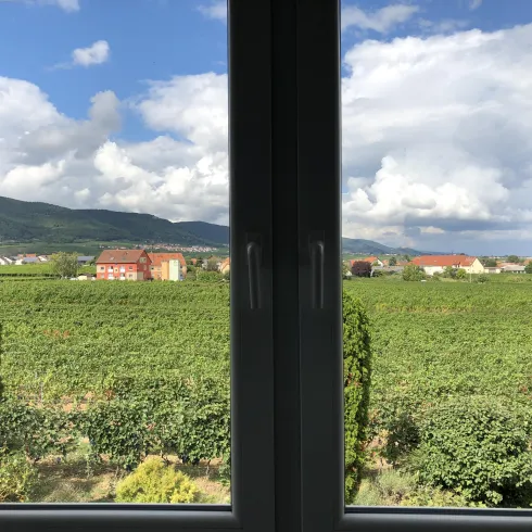 Bella Vista Bella Vista