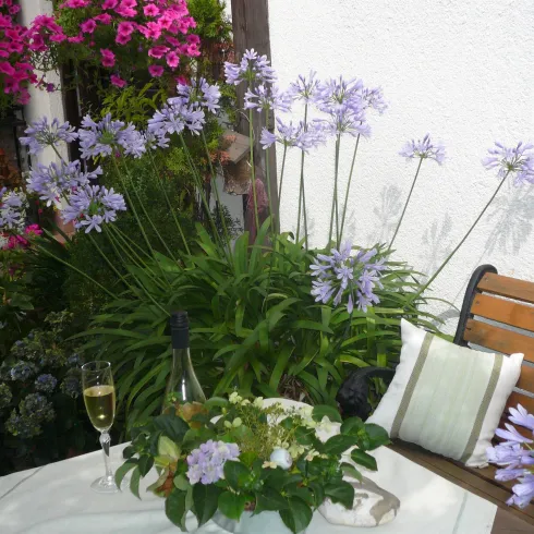 Sitzgelegenheit im Hof (© Frau Roth) Sitzgelegenheit im Hof (© Frau Roth)