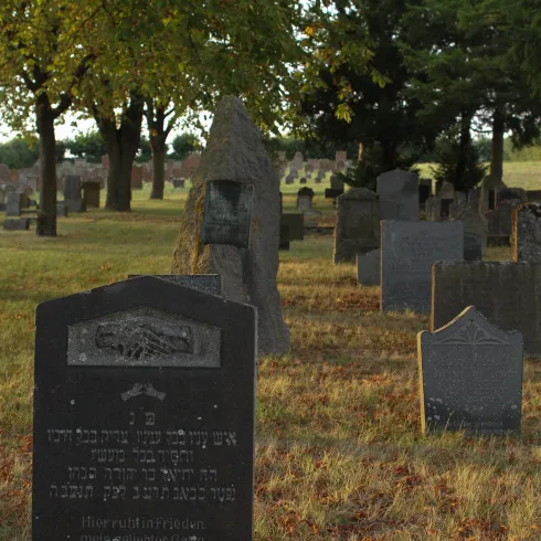 Jüdischer Friedhof Rülzheim (© Südpfalz Tourismus VG Rülzheim e.V. Carina Braun)