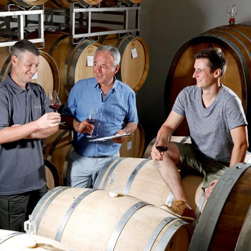 Keller Weingut Lidy