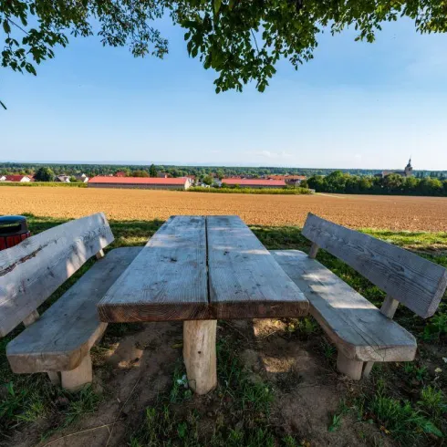 Picknickplatz über Steinfeld (© Tourismusverein Bad Bergzaberner Land e.V.)