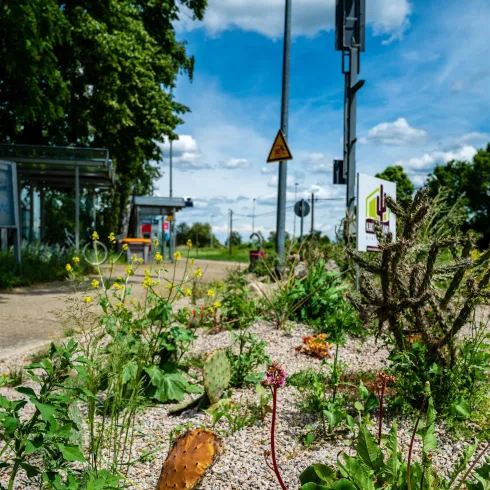 Bahnhof Steinfeld (© Tourismusverein Bad Bergzaberner Land e.V.)