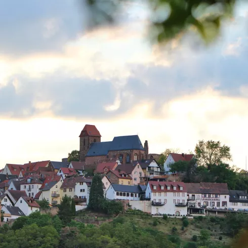 Burgdorf Neuleiningen