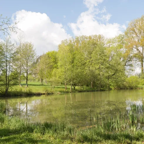 Landschaftsweiher in Landau-Wollmesheim
