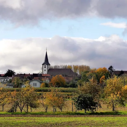 Landau-Mörzheim (© Stadt Landau - BfT)