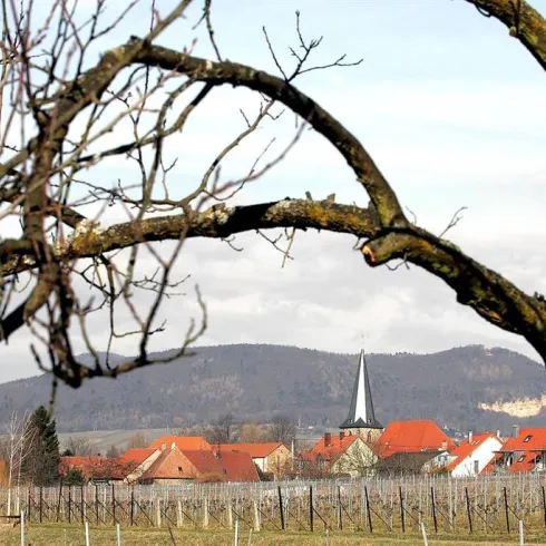 Landau-Godramstein (© Stadt Landau - BfT)