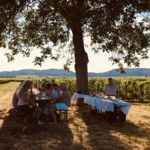 Sommerliches Picknick (© Weingut Jürgen & Astrid Stentz) Sommerliches Picknick (© Weingut Jürgen & Astrid Stentz)