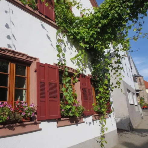 Ferienwohnungen & Weingut Schweikart (© Schweikart) Ferienwohnungen & Weingut Schweikart (© Schweikart)